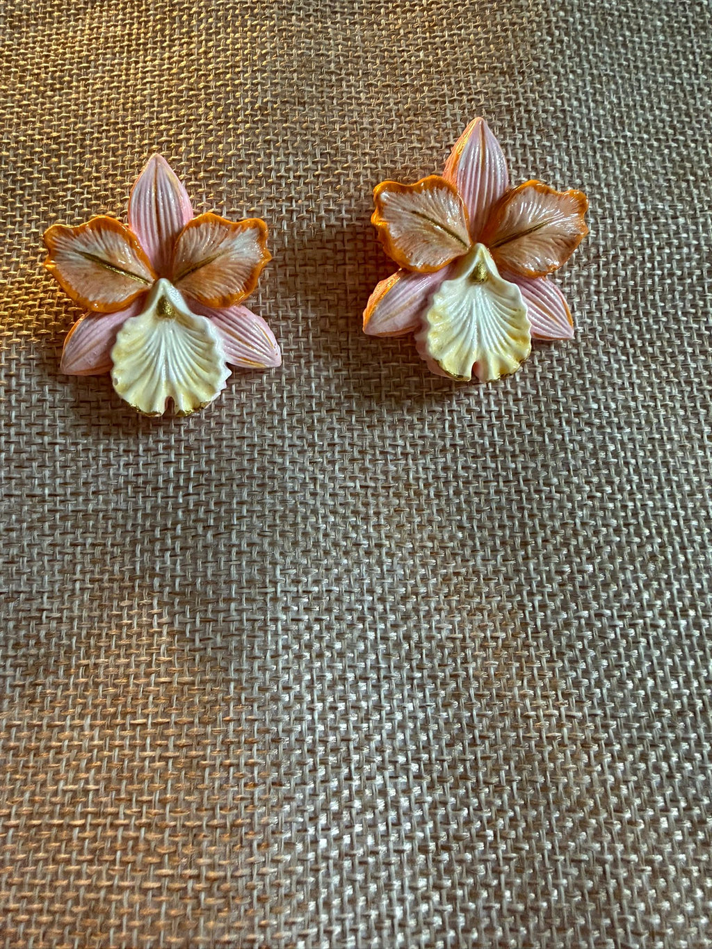 Orchid Bloom