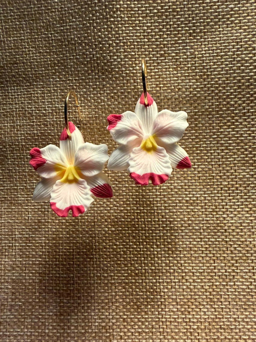 Pink Orchid
